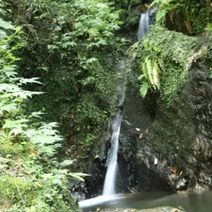 城光寺の滝