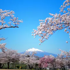 大仏公園