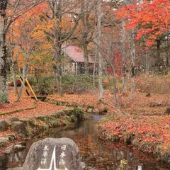 ひるがの分水嶺
