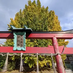 八大龍王弁財天