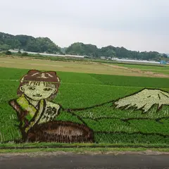 田んぼアート菊川会場