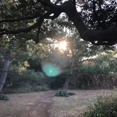 恋人の丘