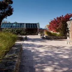 IBM Learning Center
