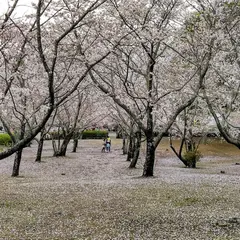 橘公園