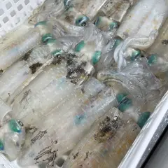 イカの店 PUNCHI