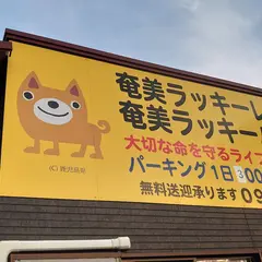 奄美ラッキーレンタカー
