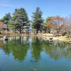 あがたの森ヒマラヤスギ並木