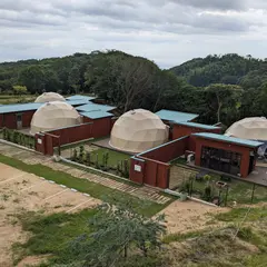 Olive GLAMP淡路島バージンバレー