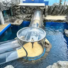 海獣の王国