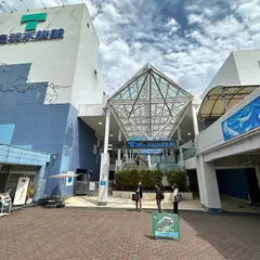 企画展示室
