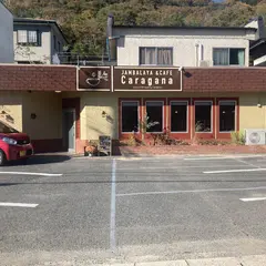 Caragana カラガナ