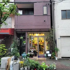 エガシラフラワー