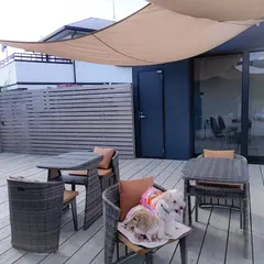 mog und hund モグントフント