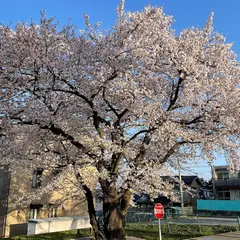 松本市立寿小学校