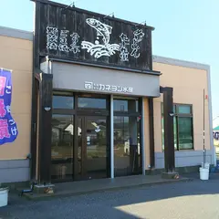 ㈲カネヨン水産