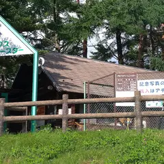 アルプスドリームコースター