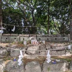 八大竜王