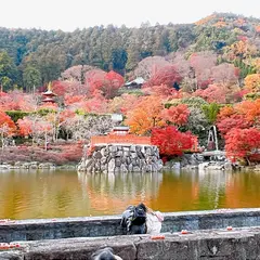 勝尾寺