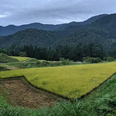 正ケ洞 棚田展望台