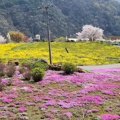 広棚花の里