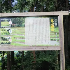 金山棚田