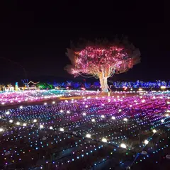 釜山慶南競馬場