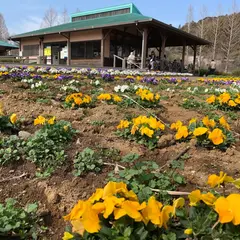 袖ケ浦市