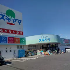 ドラッグスギヤマ緑店