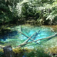 神の子池