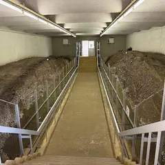 加曽利貝塚