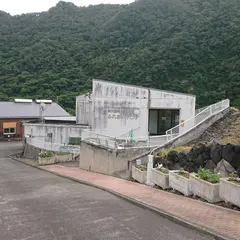 青ヶ島村 ふれあいサウナ