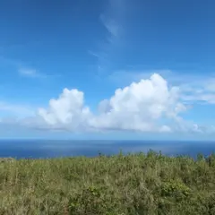 ジョウマン共同牧場