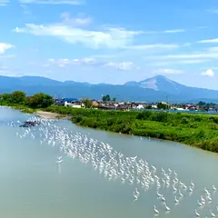 姉川大橋