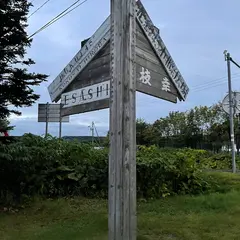 北緯45°国際広場