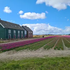 De Groene Bollenschuur