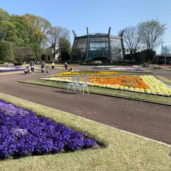 グリーンセンター