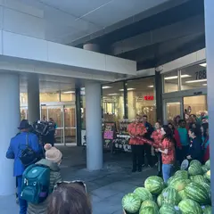Trader Joe's