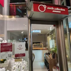 earth collection
