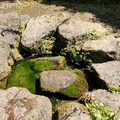 本町田清水児童遊園