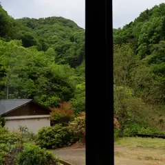 朔ト梟