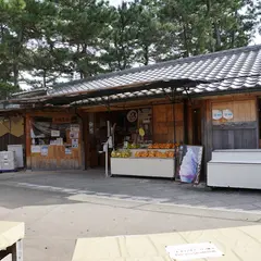 お綱茶屋