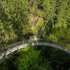 キャピラノ吊り橋