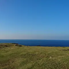 半崎