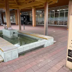 道の駅 いなば 気楽里 足湯