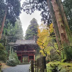 御岩山の三本杉(御岩神社御神木)