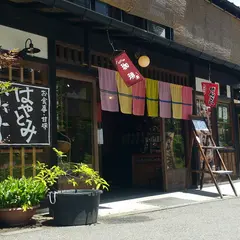 はやとみ