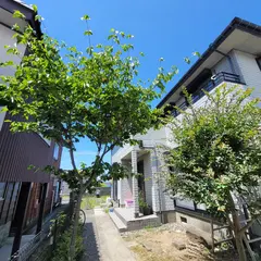 ギルドハウスのぶ（GUILD HOUSE NOBU)