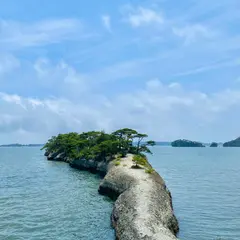 松島 馬の背