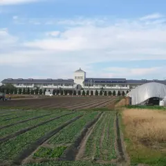 久留米市立北野小学校
