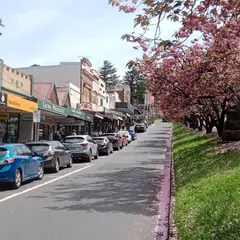 Leura Mall